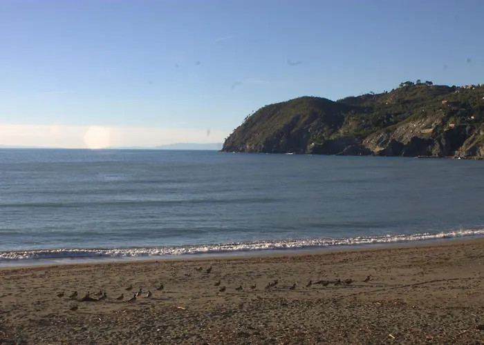 Levantomare 게스트하우스 3*